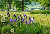 MORTON HALL GARDENS, WORCESTERSHIRE: THE WEST GARDEN, SPRING, MAY, BORDERS WITH BLUE FLOWERS OF IRIS ABOVE THE CLOUDS, FLOWERING, BLOOMS, BLOOMING