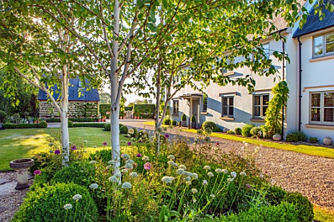 ORDNANCE_HOUSE_WILTSHIRE_GRAVEL_DRIVE_THE_HOUSE_SPRING_MAY_SQUARE_BOX_EDGED_BED_BIRCH_TREES_ALLIUM_N
