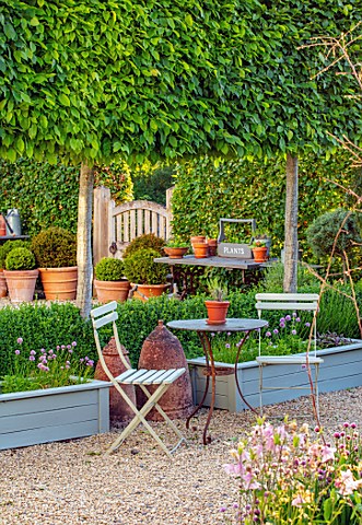 ORDNANCE_HOUSE_WILTSHIRE_SEAT_PLEACHED_HORNBEAM_TABLE_AND_CHAIRS_MAY_WOODEN_GATE_RHUBARB_FORCERS_MAY