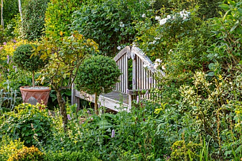 ORDNANCE_HOUSE_WILTSHIRE_WOODEN_BENCH_SEAT_SEATINGBESIDE_HEDGE_HEDGING_SPRING_MAY