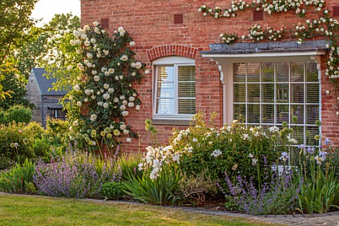 MORTON_HALL_GARDENS_WORCESTERSHIRE_BORDERS_SPRING_MAY_IRIS_MESMERIZER_ROSA_CLARENCE_HOUSE_ROSA_CREME