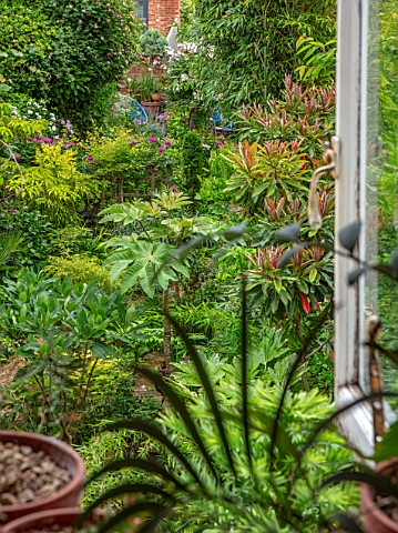 MARK_GRIFFITHS_GARDEN_OXFORD_VIEW_OUT_OF_STUDY_WINDOW_TO_GREEN_TOWN_GARDEN_FOLIAGE_LEAVES