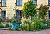 SILVER STREET FARM, DEVON. DESIGNER ALASDAIR CAMERON - FRONT GARDEN, HOUSE,  MAY, SPRING, COPPER CONTAINER, STIPA TENUISSIMA, POPPIES, ROSES, ROSA CHINENSIS MUTABILIS, CLIMBERS