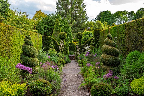 YORK_GATE_YORKSHIRE_PATH_HERB_GARDEN_CLIPPED_TOPIARY_BOX__YEW_HEDGES_HEDGING_SUMMER_JUNE_ALLIUMS_VER
