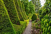 YORK GATE, YORKSHIRE: PATH, FERNS, POPPIES, CLIPPED, TOPIARY, HEDGES, HEDGING, YEW, TOPIARY, SAILS, SUMMER, JUNE