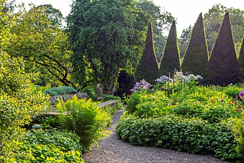 YORK_GATE_YORKSHIRE_THE_CANAL_GARDEN_RILL_WATER_CANAL_FERNS_CLIPPED_TOPIARY_YEW_TAXUS_SUMMER_JUNE