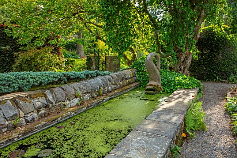 YORK_GATE_YORKSHIRE_THE_CANAL_GARDEN_RILL_WATER_CANAL_FERNS_CLIPPED_TOPIARY_YEW_TAXUS_SUMMER_JUNE_ES