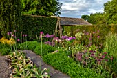 YORK GATE, YORKSHIRE: HERB GARDEN, JUNE, SUMMER, CLIPPED TOPIARY HEDGES, ALLIUMS, CUTTING, FLOWERS, BLOOMS, BLOOMING, FLOWERING