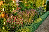 NEVILL HOLT, LEICESTERSHIRE: THE WALLED VEGETABLE GARDEN, POTAGER, PATH, LAVENDER VERA, BORDER, LYCHNIS CORONARIA, LINARIA PURPUREA, DIGITALIS EXCELSIOR MIXED:
