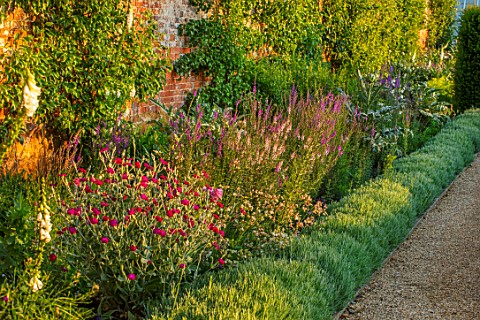 NEVILL_HOLT_LEICESTERSHIRE_THE_WALLED_VEGETABLE_GARDEN_POTAGER_PATH_LAVENDER_VERA_BORDER_LYCHNIS_COR