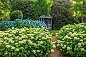 BELMONT HOUSE, SUSSEX - DESIGN ANTHONY PAUL: SUNDIAL, HYDRANGEA ARBORESCENS ANNABELLE, WHITE FLOWERS, FLOWERING, SHRUBS, BLOOMS, BLOOMING, WOODEN SUMMERHOUSE, SHADE, SHADY