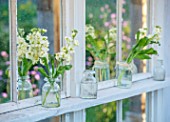 ASHBROOK HOUSE, NORTHAMPTONSHIRE, DESIGNER JOSEPHINE MAYDON - WINDOW, SHELF, GLASS BOTTLES, WHITE WALLFLOWERS,  FLOWERS, REFLECTIONS, REFLECTED