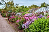 LARCH COTTAGE NURSERIES, CUMBRIA: URNS, CONTAINERS, STATUE, BORDER OF PHLOX, BORDERS, ORNAMENTS, FORMAL, PINK FLOWERS, SUMMER, GREENHOUSE