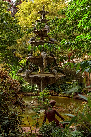 LARCH_COTTAGE_NURSERIES_CUMBRIA__POOL_WATER_FOUNTAIN_IN_CIRCULAR_POOL_SHADY_SHADE_ORNAMENT