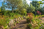 LARCH COTTAGE NURSERIES, CUMBRIA: STORMY WEATHER, EVENING LIGHT, PATH, BOULDERS, WILLOWS, SUMMER, JULY