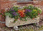 LARCH COTTAGE NURSERIES, CUMBRIA: STONE TROUGH PLANTED WITH COLOURFUL ANNUALS, CONTAINERS, SUMMER, JULY, PATIO
