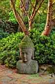 LARCH COTTAGE NURSERIES, CUMBRIA: BUDDHA HEAD SCULPTURE IN SHADY PART OF THE NURSERY, ORNAMENT, SUMMER, JULY