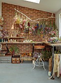 BEX PARTRIDGE, BOTANICAL TALES: BEX PARTRIDGES STUDIO WITH BRANCH OF SUSPENDED FLOWER BUNCHES, AIR DRYING, DRIED FLOWERS, DRYING