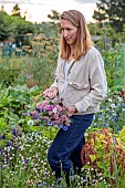 BEX PARTRIDGE, BOTANICAL TALES: BEX PARTRIDGE WITH PICKED, PICKING FLOWERS OF LOVE-IN-A-MIST, STATICE, LIMONIUM SINUATUM, SALVIA SCLAREA, FROM HER ALLOTMENT FOR DRYING