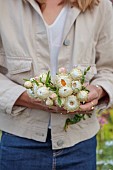 BEX PARTRIDGE, BOTANICAL TALES: BEX PARTRIDGE PICKING WHITE STRAW FLOWERS, EVERLASTING FLOWERS, XEROCHRYSUM BRACTEATUM, FROM HER ALLOTMENT FOR DRYING