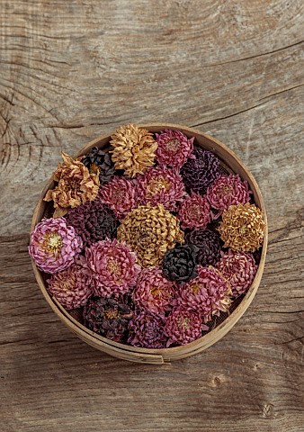 BEX_PARTRIDGE_BOTANICAL_TALES_DRIED_DAHLIA_FLOWER_HEADS_DRYING_IN_A_WOODEN_BOX