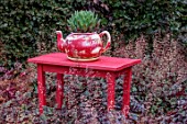 THE MANOR HOUSE, STEVINGTON, BEDFORDSHIRE. DESIGNER: KATHY BROWN - THE RED STUDIO INSPIRED BY HENRI MATISSE, RED TABLE, HEUCHERA, HEDGES, HEDGING, RED GARDEN, TEAPOT, ORNAMENT