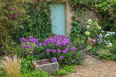 THE_MANOR_HOUSE_STEVINGTON_BEDFORDSHIRE_DESIGNER_KATHY_BROWN__GRAVEL_CONTAINER_PLANTED_WITH_HYDRANGE