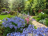 MORTON HALL GARDENS, WORCESTERSHIRE: SOUTH GARDEN, BORDERS, BLUE FLOWERS OF AGAPANTHUS NORTHERN STAR, ROSES, ROSA BLUSH CHINA, FOUNTAIN