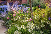 MORTON HALL GARDENS, WORCESTERSHIRE: SOUTH GARDEN, BORDERS, WHITE FLOWERS OF AGAPANTHUS POLAR STAR, PEROVSKIA BLUE SPIRE, ROSES, ROSA OLD BLUSH CHINA, AGAPANTHUS NORTHERN STAR