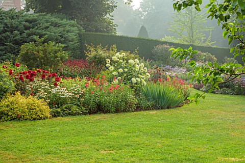 COTON_MANOR_GARDEN_NORTHAMPTONSHIRE_RED_BORDER_LAWN_RED_FLOWERS_OF_DAHLIA_WITTEMANS_BEST_DAHLIA_SHOO