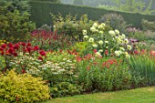 COTON MANOR GARDEN, NORTHAMPTONSHIRE: RED BORDER, LAWN, RED FLOWERS OF DAHLIA WITTEMANS BEST, DAHLIA SHOOTING STAR, ECHINACEA WHITE SWAN, PERSICARIA FAT DOMINO