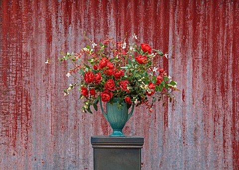 GREEN_AND_GORGEOUS_FLOWERS_OXFORDSHIRE_BLUE_CONTAINER_VASE_STILL_LIFE_ROSA_HOT_CHOCOLATE_GAURA_LINDH