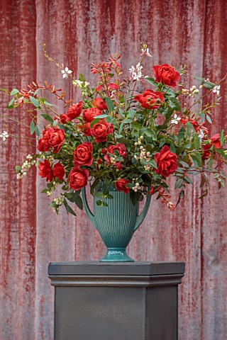 GREEN_AND_GORGEOUS_FLOWERS_OXFORDSHIRE_BLUE_CONTAINER_VASE_STILL_LIFE_ROSA_HOT_CHOCOLATE_GAURA_LINDH