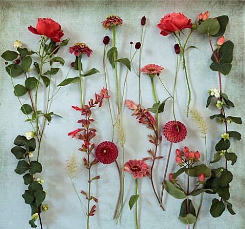 GREEN_AND_GORGEOUS_FLOWERS_OXFORDSHIRE_FLAT_LAY_ROSE_HOT_CHOCOLATE_SANGUISORBA_HYPERICUM_MAGICAL_PUM