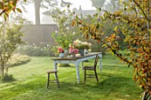 THE FLOWER GARDEN AT STOKESAY COURT - LAWN, AMELANCHIER, TABLE, CONTAINERS, DAHLIAS PENHILL WATERMELON, PREFERENCE, ARRANGEMENT, CONTAINERS, WALLED, GARDEN, SEPTEMBER, FALL