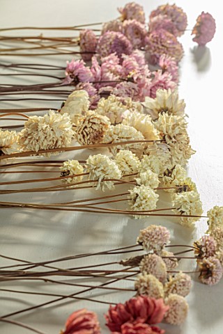 JUST_DAHLIAS_CHESHIRE_DRIED_DAHLIAS_ON_WOODEN_TABLE_DRYING_CUT_FLOWERS_CUTTING