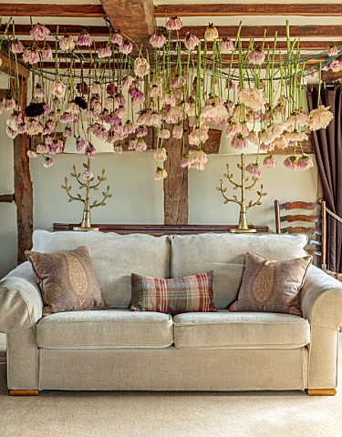 JUST_DAHLIAS_CHESHIRE_LIVING_ROOM_WITH_DAHLIA_INSTALLATION_ABOVE_BED_BY_PHILIPPA_STEWART