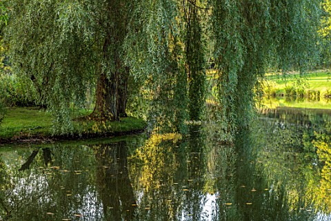 PRIORS_MARSTON_WARWICKSHIRE_VIEW_ACROSS_LAKE_TO_WILLOW_SEPTEMBER_REFLECTED_REFLECTIONS