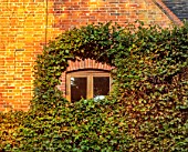 THE DOWER HOUSE, DERBYSHIRE: CLIPPED HEDGE WITH CIRCULAR OPENING ONTO WINDOW, BEECH, HEDGING