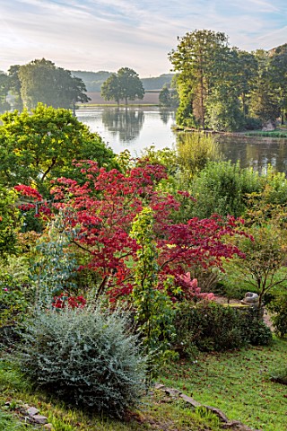 THE_DOWER_HOUSE_DERBYSHIRE_VIEW_DOWN_SLOPE_TO_ACER_WATER_POND_POOL_LAKE_EUCALYPTUS_GLAUCESCENS_GUTHE