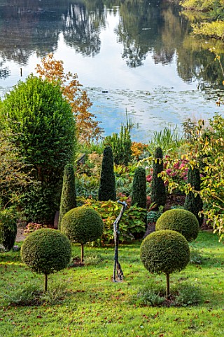 THE_DOWER_HOUSE_DERBYSHIRE_CLIPPED_TOPIARY_LIGUSTRUM_DELAVAYANUM_SYN_L_IONANDRUM_BALLS_SCULPTURE_EUC