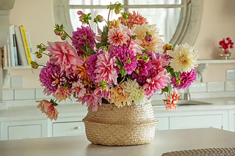 ASHBROOK_HOUSE_NORTHAMPTONSHIRE_CONTEMPORARY_COUNTRY_HOUSE_KITCHEN_DAHLIAS_IN_CONTAINERS