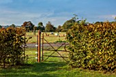 ASHBROOK HOUSE, NORTHAMPTONSHIRE: LAWN, BACK GARDEN, METAL GATE, BEECH HEDGES, HEDGING, COUNTRYSIDE