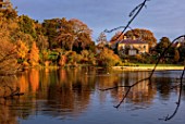 THE DOWER HOUSE, DERBYSHIRE: REFLECTIONS ACROSS MELBOURNE POOL, HOUSE, AUTUMN TREES, METASEQUOIA GLYPTOSTROBOIDES GOLD RUSH, FOLIAGE, FALL
