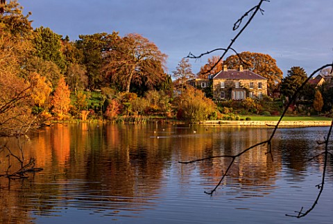 THE_DOWER_HOUSE_DERBYSHIRE_REFLECTIONS_ACROSS_MELBOURNE_POOL_HOUSE_AUTUMN_TREES_METASEQUOIA_GLYPTOST