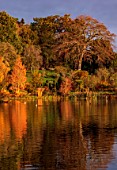 THE DOWER HOUSE, DERBYSHIRE: REFLECTIONS, MOLINIA SKYRACER, MELBOURNE POOL, AUTUMN TREES, METASEQUOIA GLYPTOSTROBOIDES GOLD RUSH, FOLIAGE, FALL