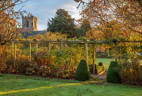 THE_DOWER_HOUSE_DERBYSHIRE_MELBOURNE_CHURCH_PERGOLA_CLIPPED_TOPIARY_BOX_BUXUS_WOODEN_AUTUMN_FOLIAGE_