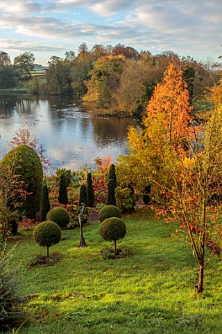 THE_DOWER_HOUSE_DERBYSHIRE_CLIPPED_TOPIARY_LIGUSTRUM_DELAVAYANUM_SYN_L_IONANDRUM_SCULPTURE_BY_HELEN_