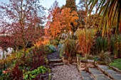 THE DOWER HOUSE, DERBYSHIRE: AUTUMN, OCTOBER, PATH BESIDE POOL, AUTUMN COLOUR OF TREES PARROTIA PERSICA VANESSA, METASEQUOIA GOLD RUSH