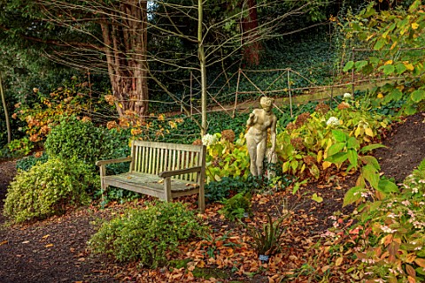 THE_DOWER_HOUSE_DERBYSHIRE_WOODLAND_STATUE_WOODEN_BENCH_SEAT_HYDRANGEA_ANNABELLE_WOODS_SHADE_SHADY_G